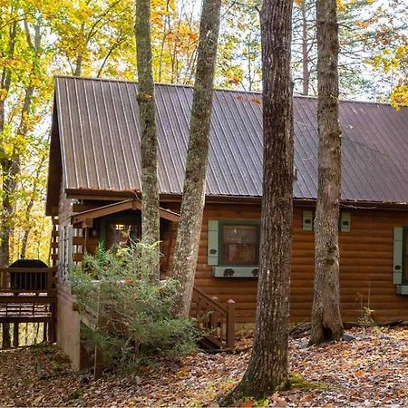 Mountain Time Cabin, Hot Tub, Fire Pit, Fireplace Villa บลูริดจ์ ภายนอก รูปภาพ